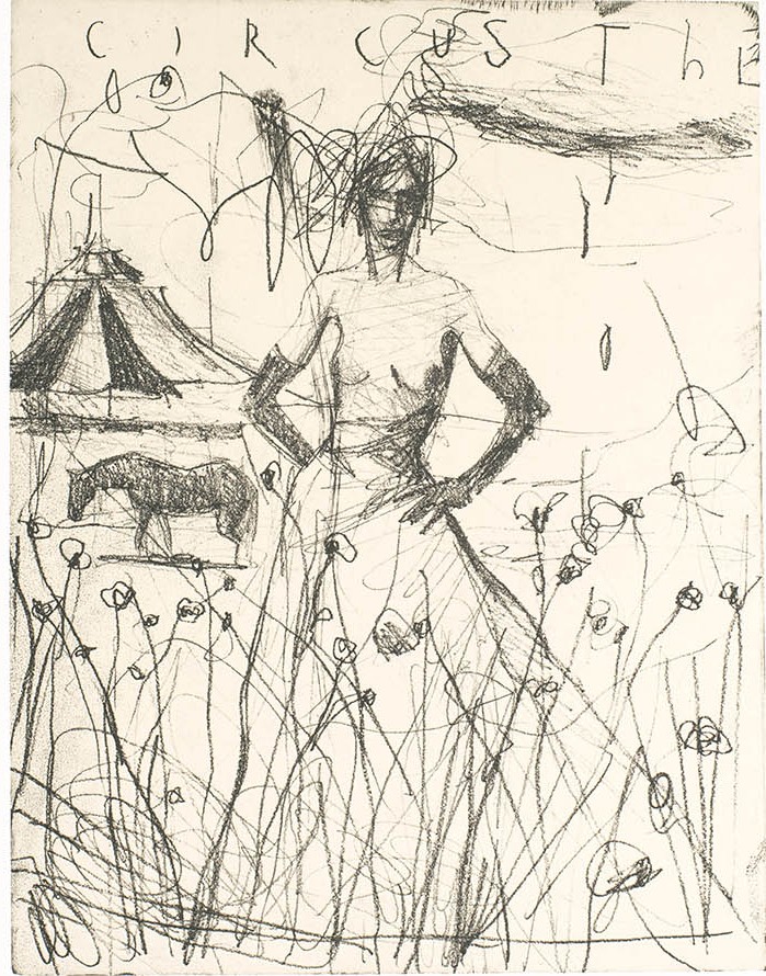 THE CIRCUS