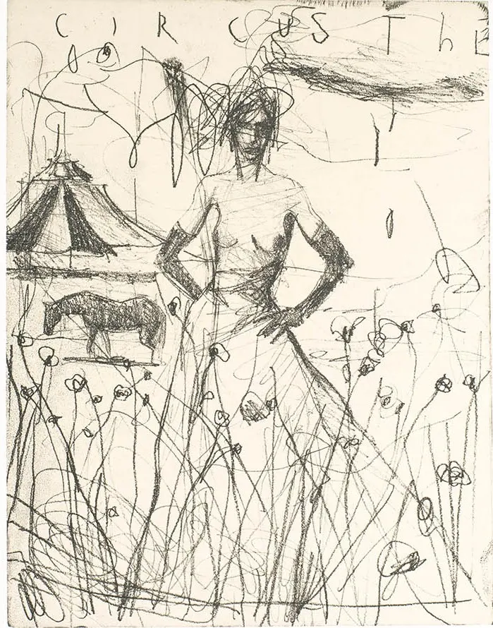 THE CIRCUS